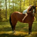 Girl on a Brown Horse