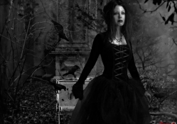 lady of lost crows