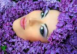 Lilac Beauty