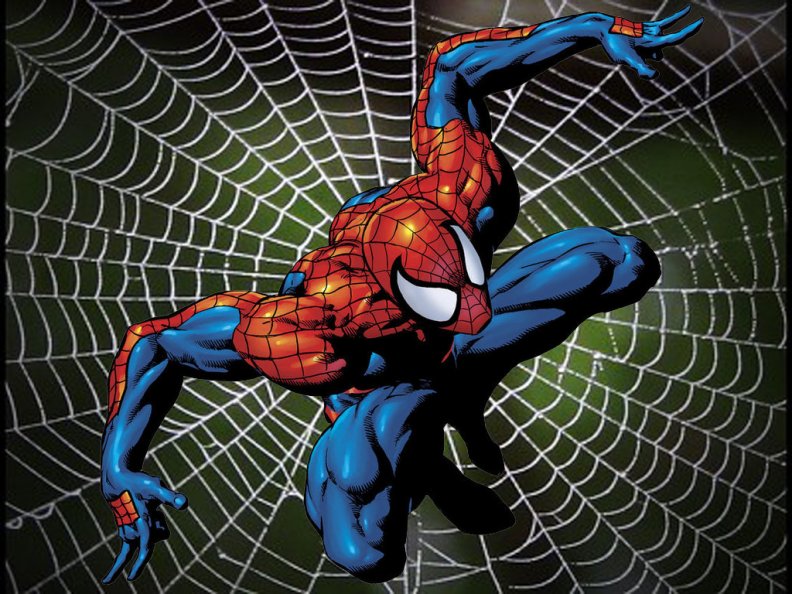 Web Of Spiderman