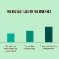 Biggest lies on internet