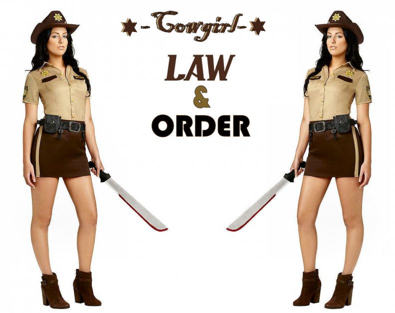 law_amp_order.jpg