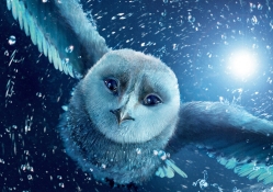Legend of the Guardians _ The Owls of Ga'Hoole (2010)