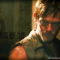 Daryl    {The Walking Dead}