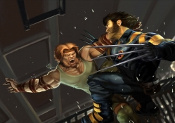 Sabertooth Vs Wolverine