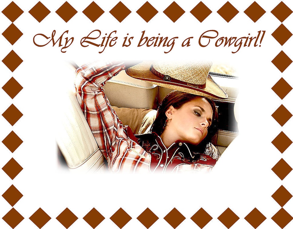 Cowgirl's Life