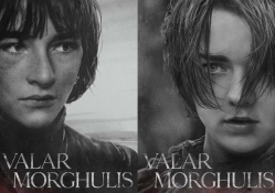 game of thrones starks
