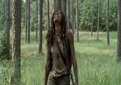 Michonne   [The Walking Dead]