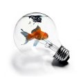Fish In A Bulb