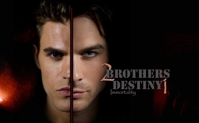The_Salvatore_Brothers