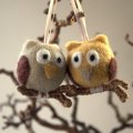 Owls Couple♥♥