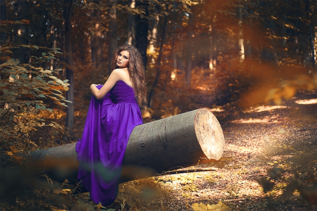 .:Purple Beauty:.