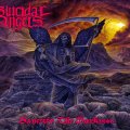 Suicidal Angels _ Sanctify The Darkness