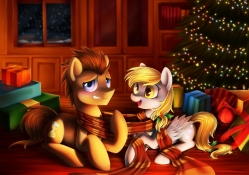 Xmas Derpy Hooves and Doctor Whooves