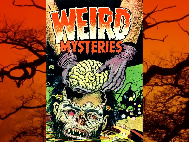 weird_mysteries_comic02.jpg