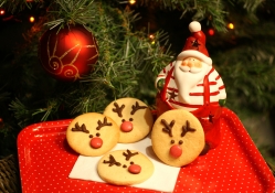 Santa's Favorite Cookies