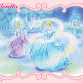 Cinderella's Enchanted Night