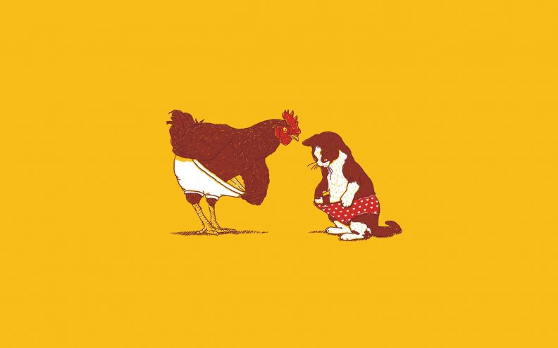 Rooster And Cat