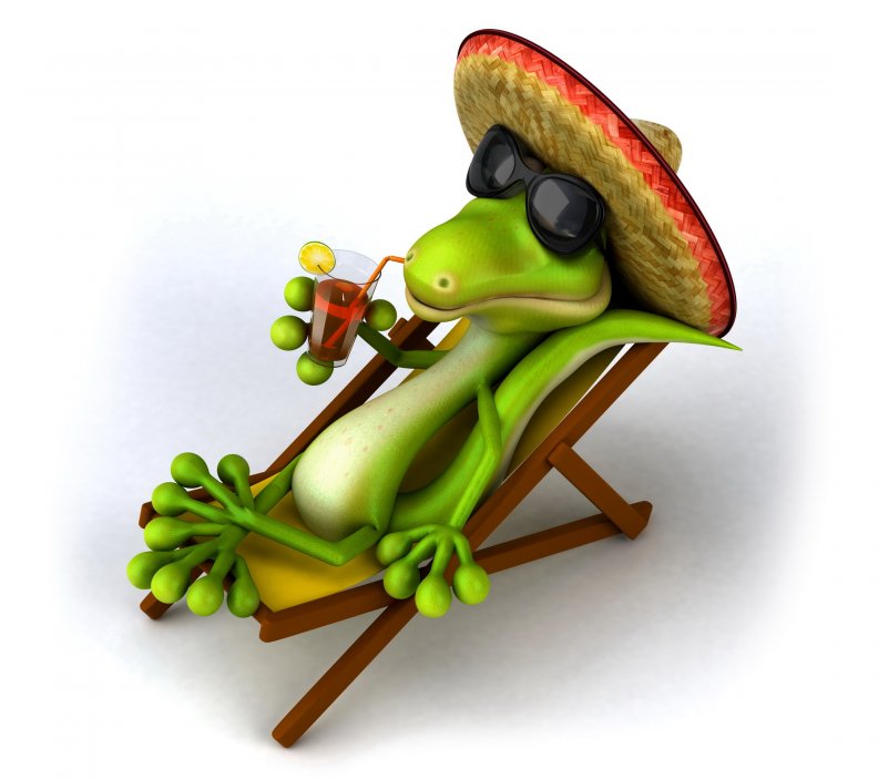 Relaxing reptile