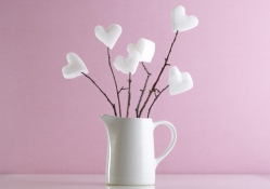 ♥♥♥ Hearts In February ♥♥♥