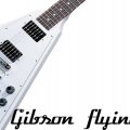 gibson flying v
