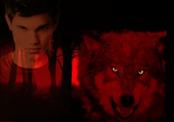 Jacob/Wolf