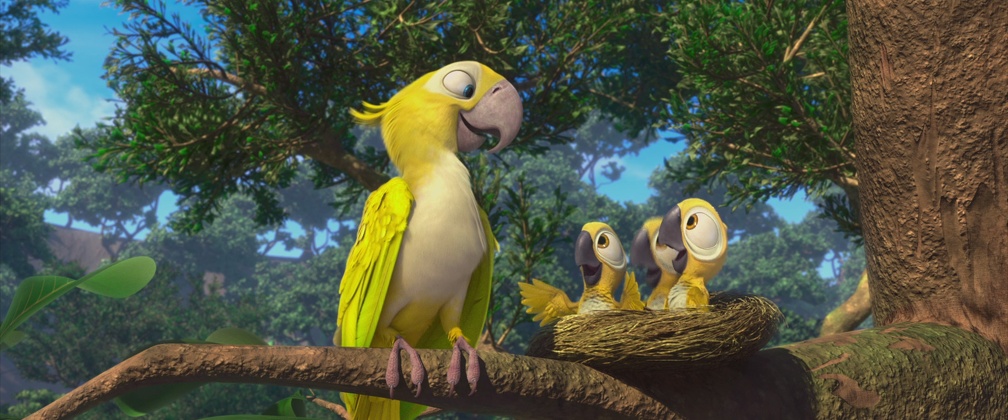 Yellow parrot family. 
