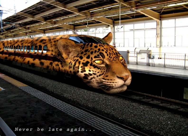 leopard_train.jpg