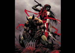 Wolverine And Elektra