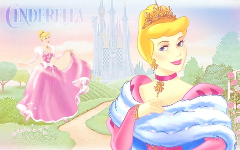 ~Princess Cinderella~