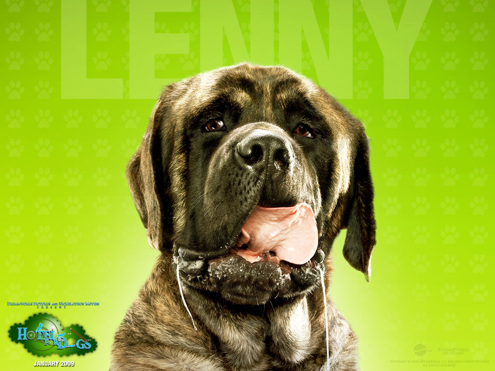 Hotel For Dogs _ Lenny