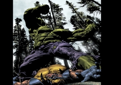 Hulk VS Wolverine