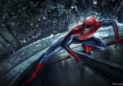 The Ammazing Spiderman