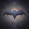 Batman Shield