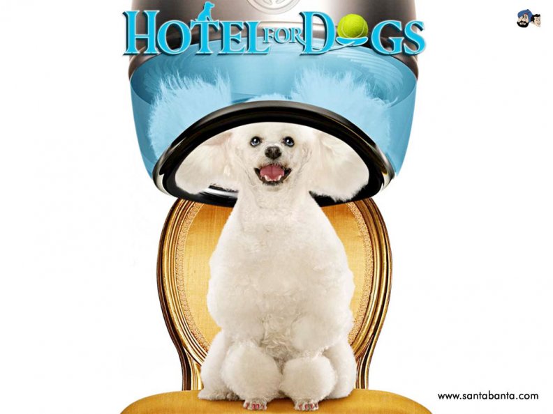 hotel_for_dogs.jpg