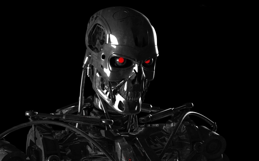 Terminator Skeleton