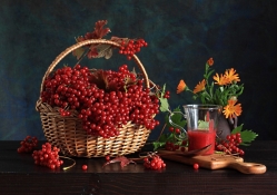 *** Red fruits viburnum ***