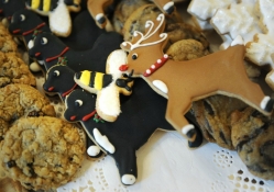 Sweet reindeers and a bee for my lovely friend Anita (Bizzybee360)
