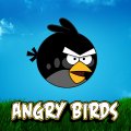 Angry Birds _ Black version wallpaper