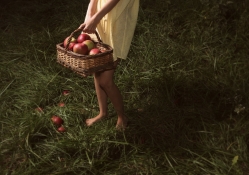 *** Girl with a basket of apples ***