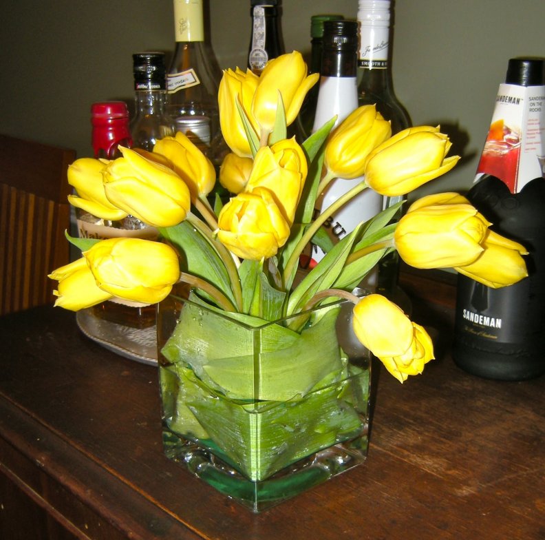 evening_with_tulips.jpg