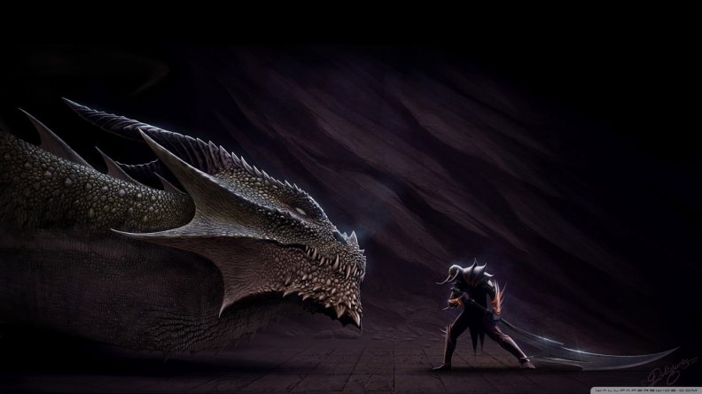 dragon_vs_hero.jpg