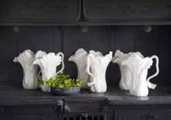 Graceful white pitchers♥