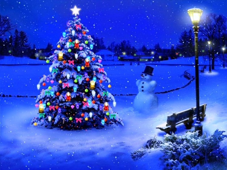 frosty_finds_a_christmas_tree.jpg