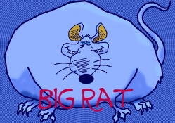 Big Rat