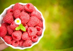 *** Delicious Raspberries ***
