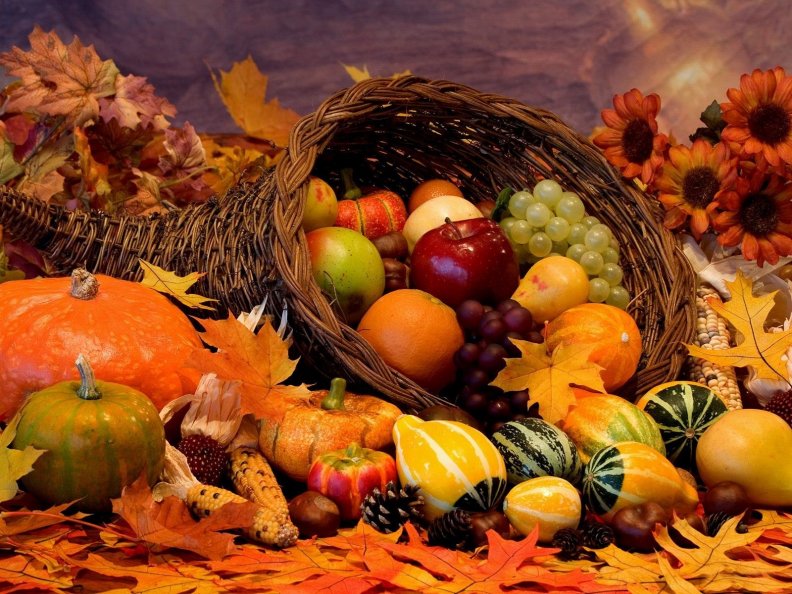 autumn_harvest.jpg