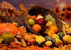 *** Autumn harvest ***