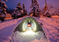 Winter Tunnel