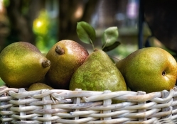 *** Pears in the basket ***
